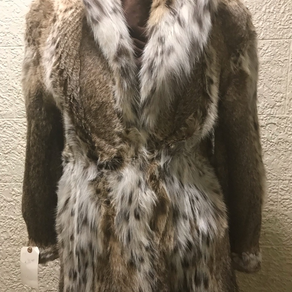 American Cat Lynx coat